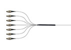 Multicore Fiber Fanouts The Ideal Solution for High-Density Fiber Connections
