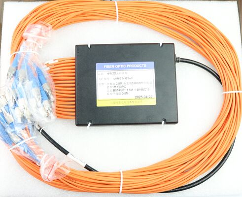 Matriz de fibra 2D FA MM 6x6 cuadrada, 62.5/125um con alineación de fibra en tubo blindado